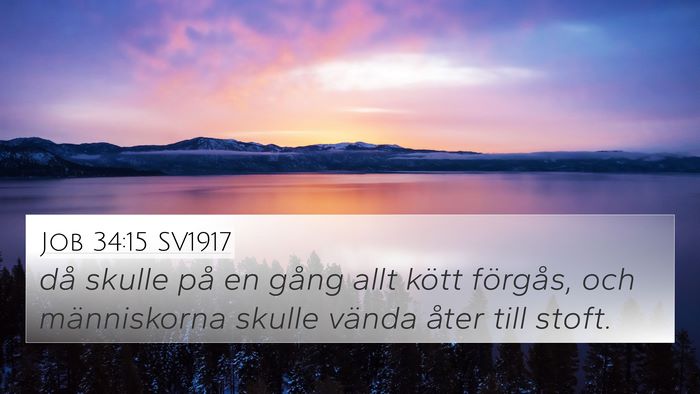 Job 34:15 SV1917 Bible Verse Image