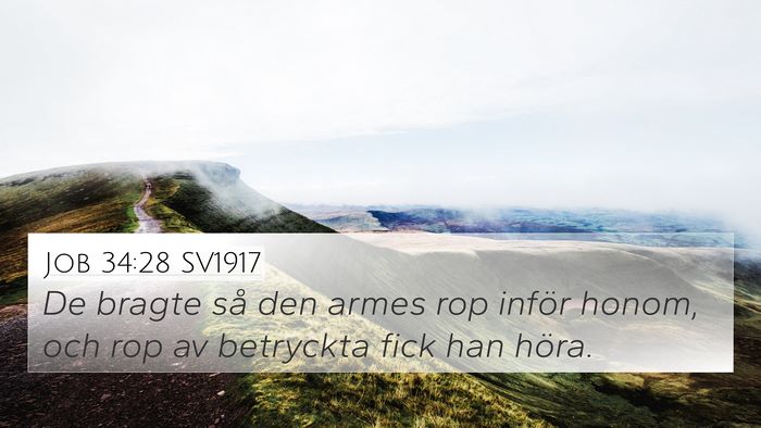 Job 34:28 SV1917 Bible Verse Image
