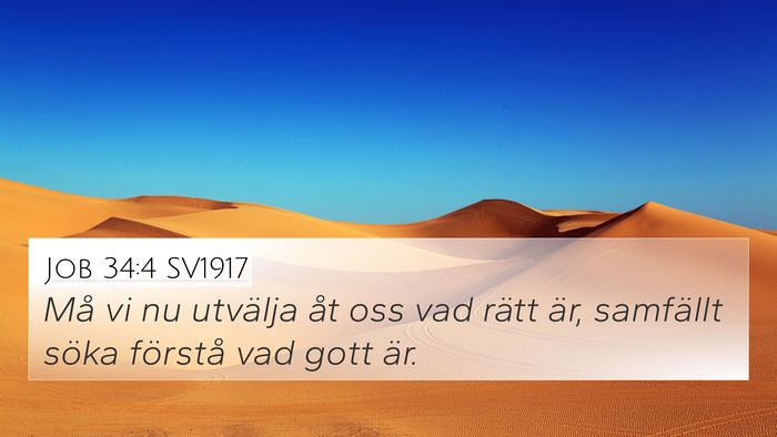 Job 34:4 SV1917 Bible Verse Image