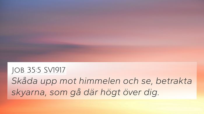 Job 35:5 SV1917 Bible Verse Image