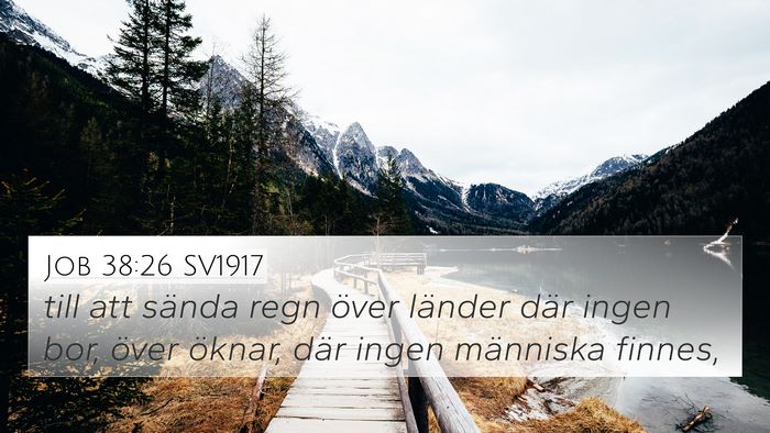 Job 38:26 SV1917 Bible Verse Image