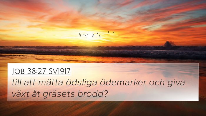 Job 38:27 SV1917 Bible Verse Image