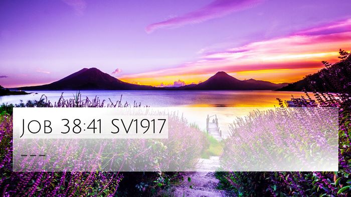 Job 38:41 SV1917 Bible Verse Image