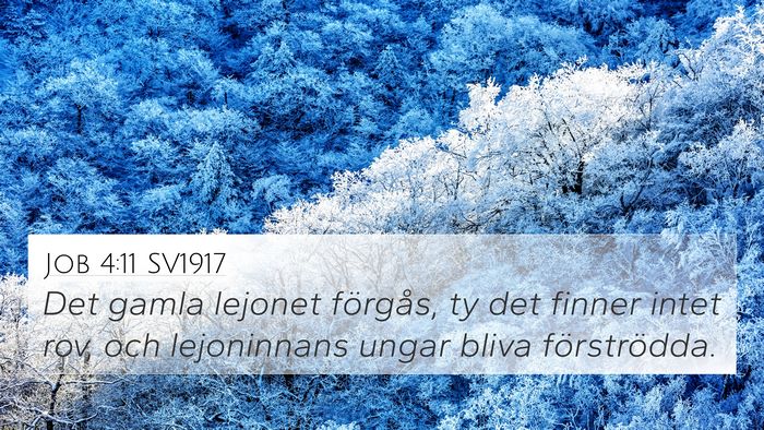 Job 4:11 SV1917 4K Wallpaper - Det gamla lejonet förgås, ty det finner intet - 4K Wallpaper Bible Verse