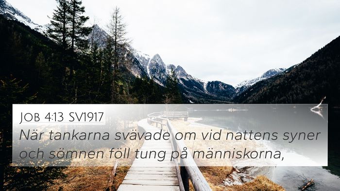 Job 4:13 SV1917 Bible Verse Image