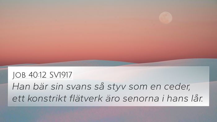 Job 40:12 SV1917 Bible Verse Image