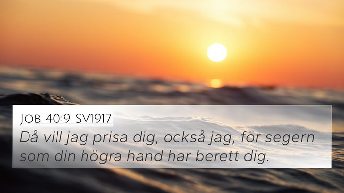 Job 40:9 SV1917 Bible Verse Image