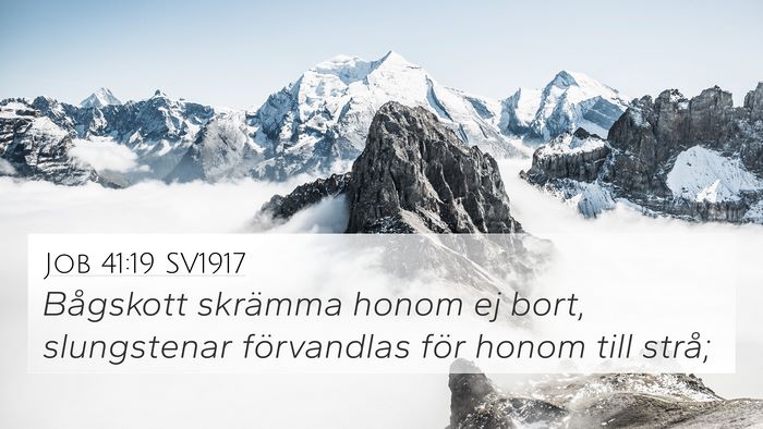Job 41:19 SV1917 4K Wallpaper - Bågskott skrämma honom ej bort, slungstenar - 4K Wallpaper Bible Verse