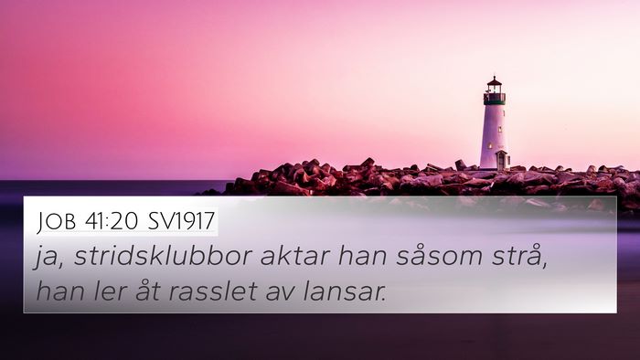 Job 41:20 SV1917 Bible Verse Image