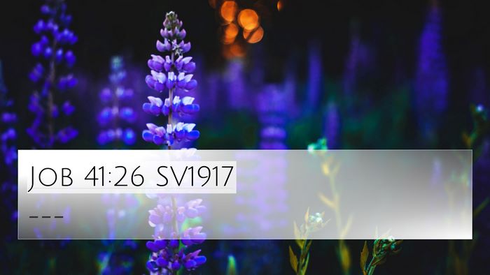 Job 41:26 SV1917 Bible Verse Image