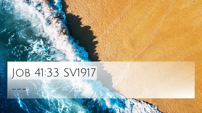 Job 41:33 SV1917 Bible Verse Image