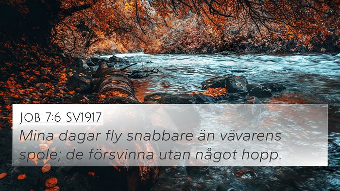 Job 7:6 SV1917 Bible Verse Image