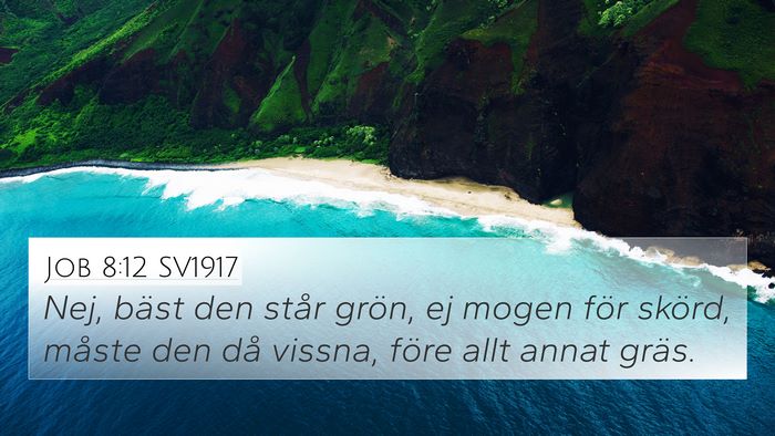 Job 8:12 SV1917 4K Wallpaper - Nej, bäst den står grön, ej mogen för skörd, - 4K Wallpaper Bible Verse