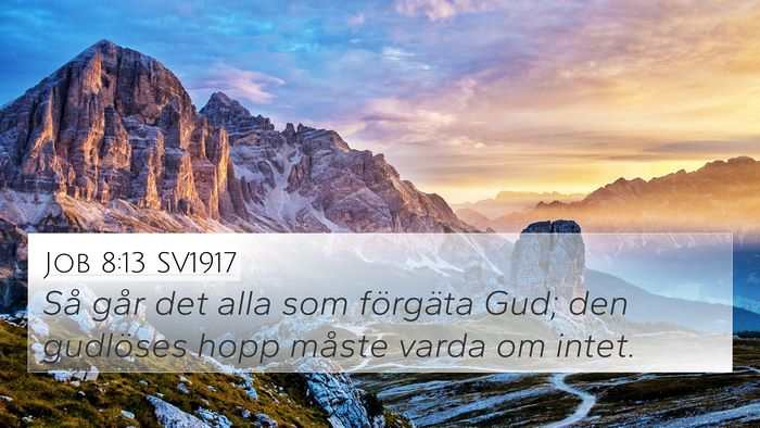 Job 8:13 SV1917 Bible Verse Image