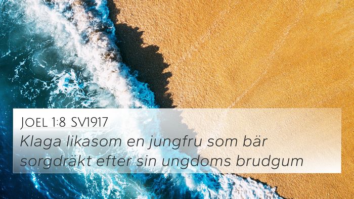 Joel 1:8 SV1917 Bible Verse Image