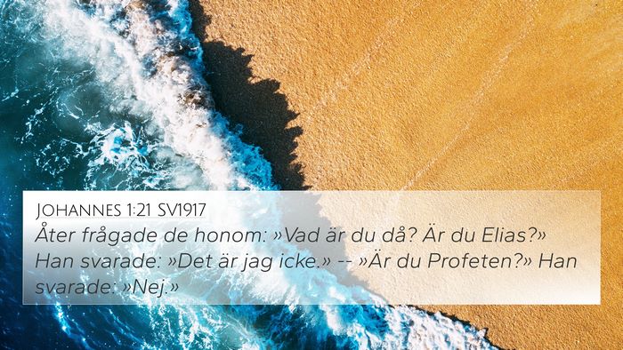 Johannes 1:21 SV1917 Bible Verse Image