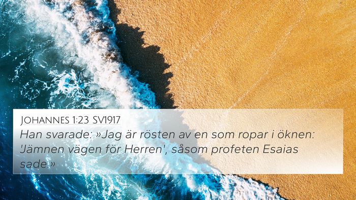 Johannes 1:23 SV1917 Bible Verse Image