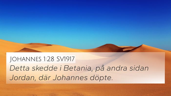 Johannes 1:28 SV1917 Bible Verse Image