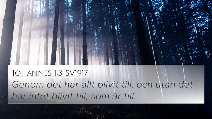 Johannes 1:3 SV1917 4K Wallpaper - Genom det har allt blivit till, och utan det har - 4K Wallpaper Bible Verse