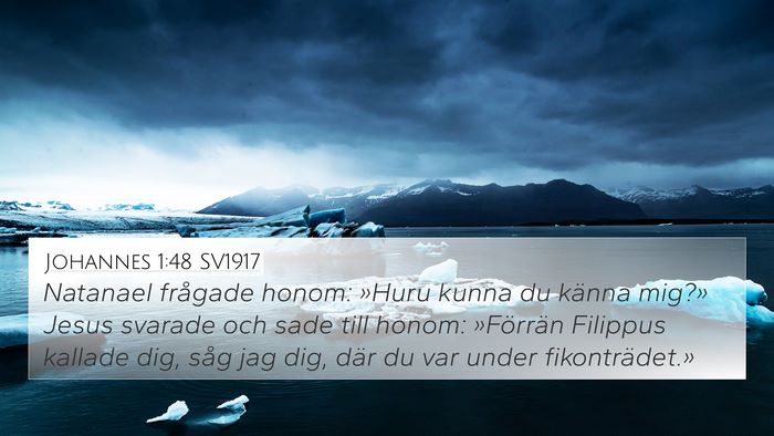 Johannes 1:48 SV1917 Bible Verse Image