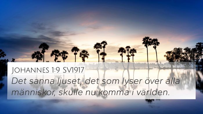 Johannes 1:9 SV1917 Bible Verse Image
