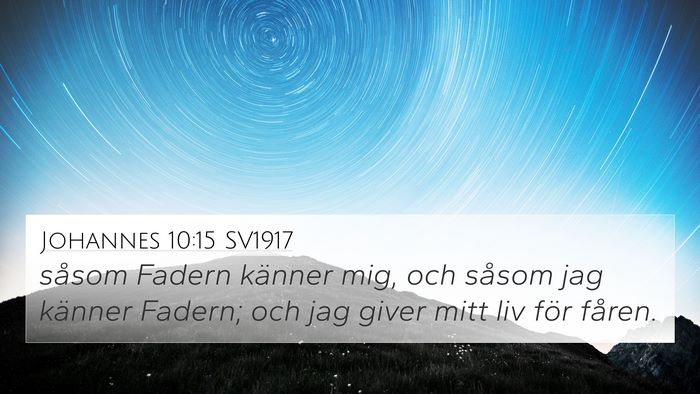 Johannes 10:15 SV1917 Bible Verse Image