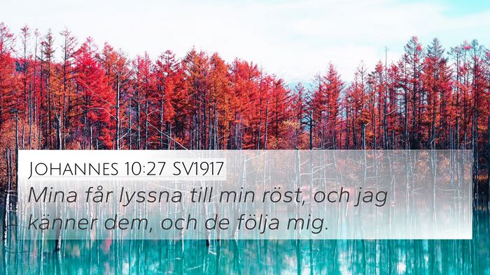 Johannes 10:27 SV1917 Bible Verse Image