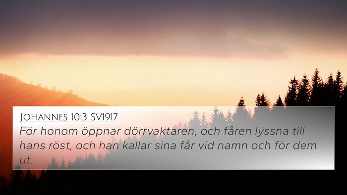Johannes 10:3 SV1917 Bible Verse Image