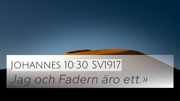 Johannes 10:30 SV1917 Bible Verse Image