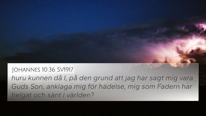 Johannes 10:36 SV1917 Bible Verse Image