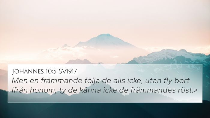 Johannes 10:5 SV1917 Bible Verse Image