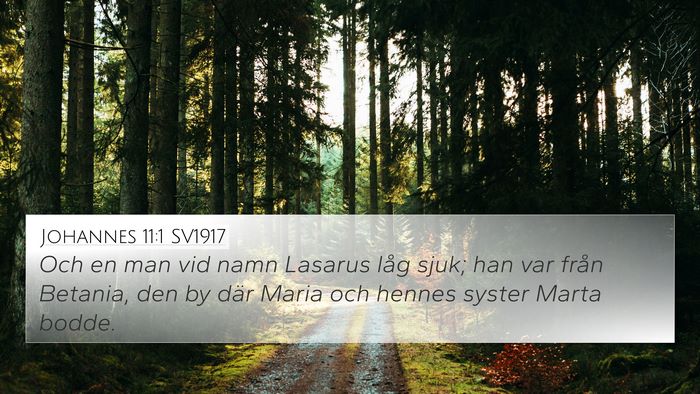 Johannes 11:1 SV1917 Bible Verse Image