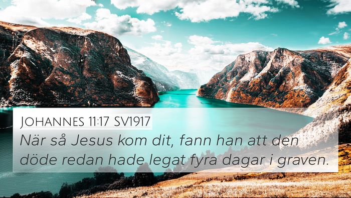 Johannes 11:17 SV1917 Bible Verse Image