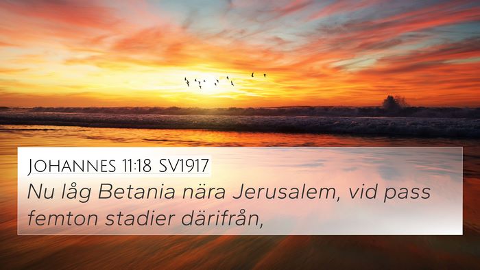 Johannes 11:18 SV1917 Bible Verse Image