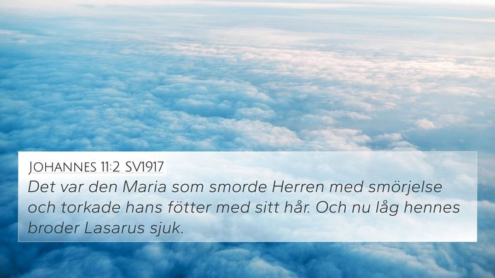 Johannes 11:2 SV1917 Bible Verse Image