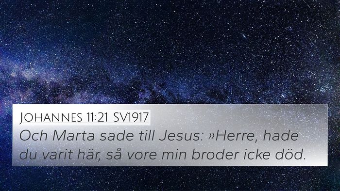 Johannes 11:21 SV1917 4K Wallpaper - Och Marta sade till Jesus: »Herre, hade du varit - 4K Wallpaper Bible Verse
