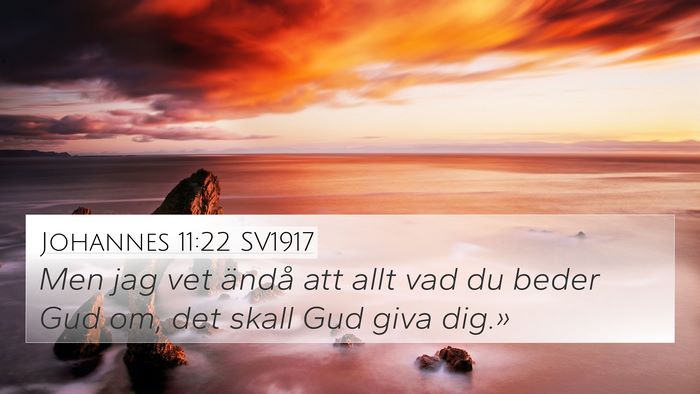 Johannes 11:22 SV1917 Bible Verse Image