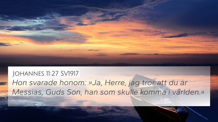 Johannes 11:27 SV1917 Bible Verse Image
