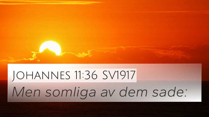 Johannes 11:36 SV1917 Bible Verse Image