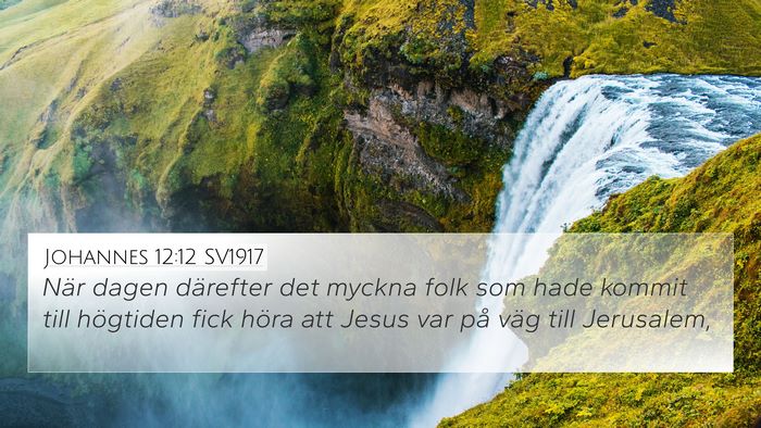 Johannes 12:12 SV1917 Bible Verse Image