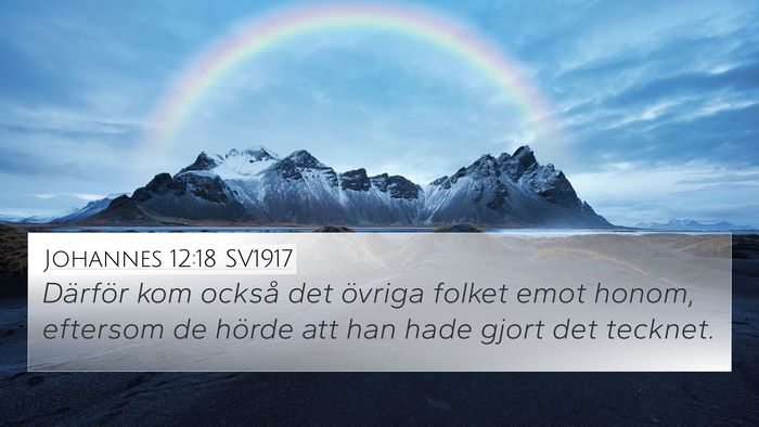 Johannes 12:18 SV1917 Bible Verse Image