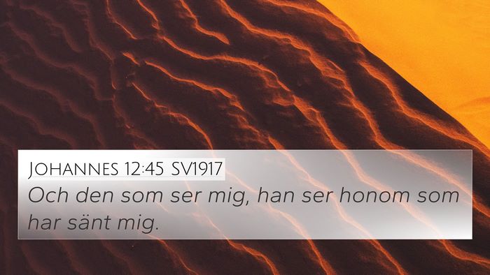 Johannes 12:45 SV1917 Bible Verse Image