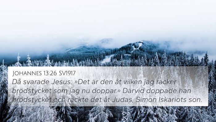 Johannes 13:26 SV1917 Bible Verse Image