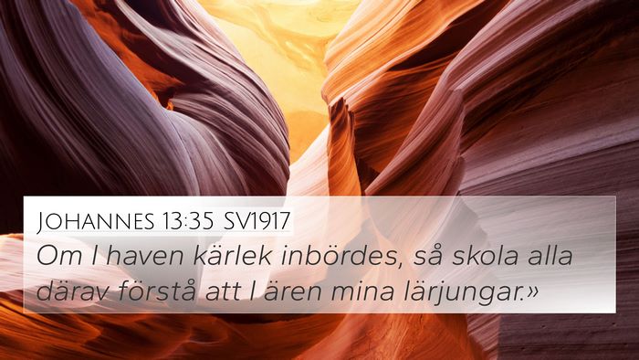 Johannes 13:35 SV1917 Bible Verse Image