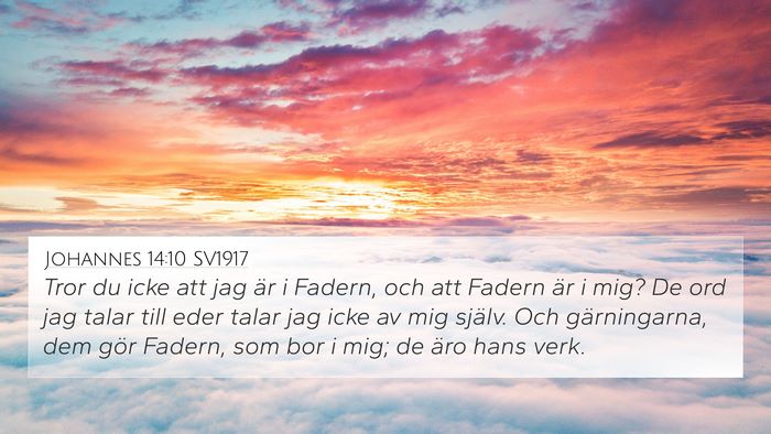 Johannes 14:10 SV1917 Bible Verse Image