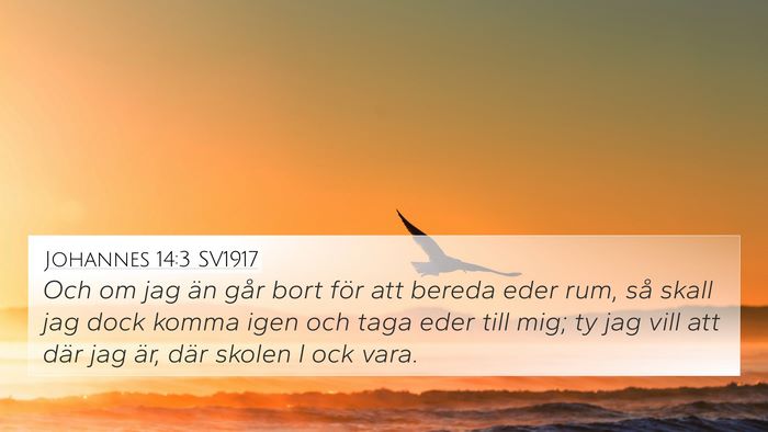 Johannes 14:3 SV1917 Bible Verse Image