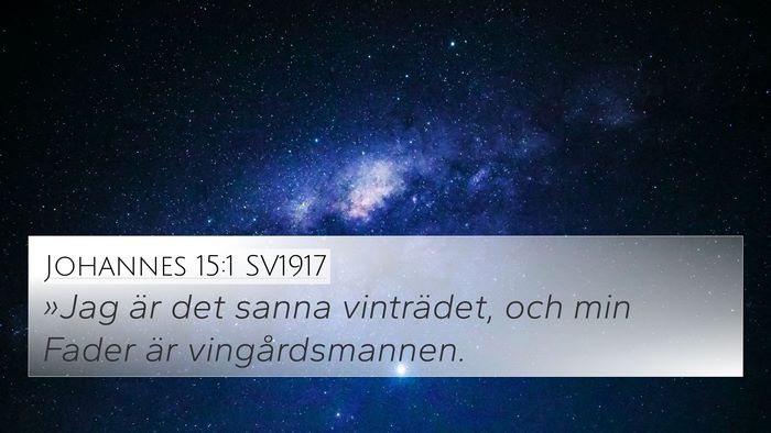 Johannes 15:1 SV1917 Bible Verse Image