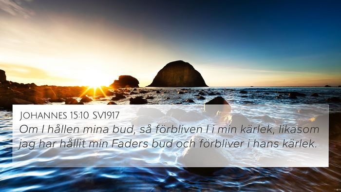 Johannes 15:10 SV1917 Bible Verse Image