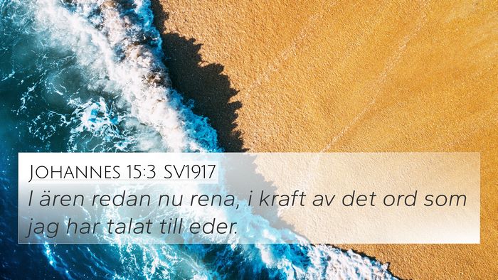 Johannes 15:3 SV1917 Bible Verse Image