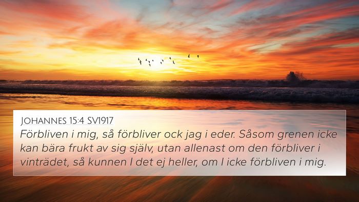 Johannes 15:4 SV1917 Bible Verse Image